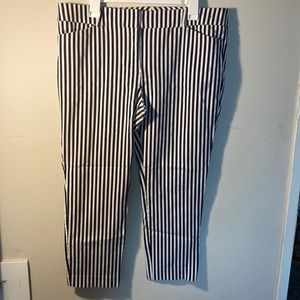 New York & Company Stripped Navy and White Pants | Plus Sized Size 16